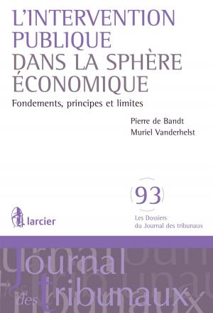 Cover of the book L'intervention publique dans la spère économique by Cédric Alter, Alain Zenner