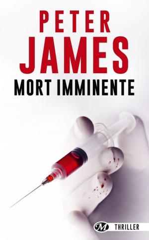 Cover of the book Mort imminente by Raymond E. Feist