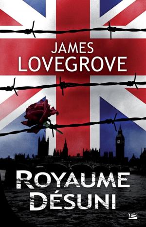 Cover of the book Royaume-Désuni by Stan Nicholls