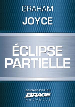 Cover of the book Eclipse partielle by Richard Morgan