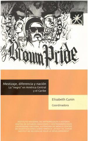 Cover of the book Mestizaje, diferencia y nación by Collectif