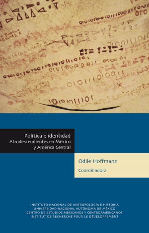 Cover of the book Política e identidad by Sybille de Pury-Toumi
