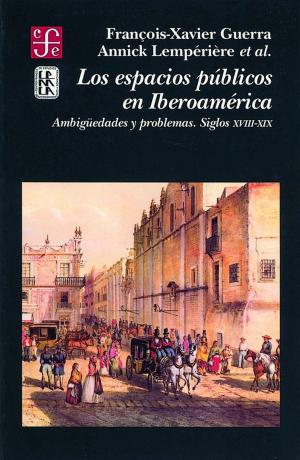 Cover of the book Los espacios públicos en Iberoamérica by Collectif