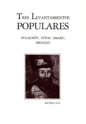 Cover of the book Tres levantamientos populares by Mónica Toussaint Ribot