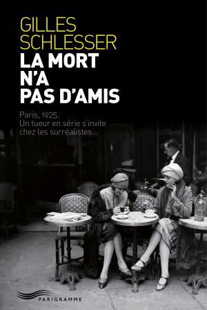 Cover of the book La mort n'a pas d'amis by Gilles Schlesser