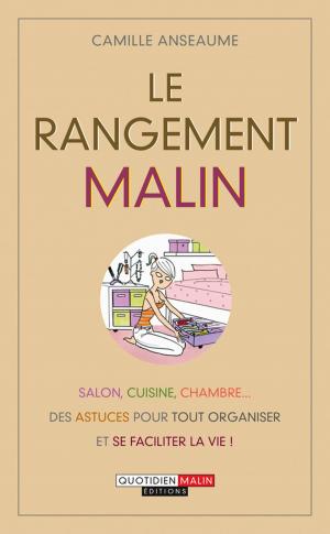 Cover of the book Le rangement, c'est malin by Cécile Neuville