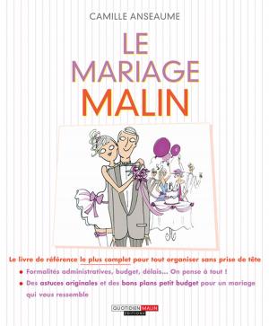 Cover of the book Le mariage, c'est malin by Jean-Michel Jakobowicz