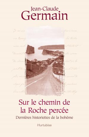 Cover of the book Sur le chemin de la roche percée by Sophie Rondeau
