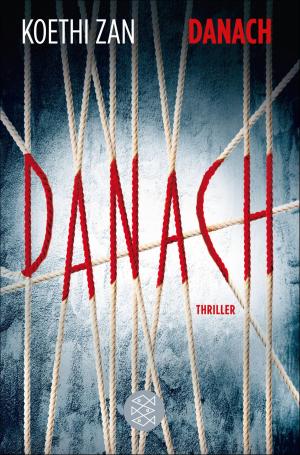 Cover of the book Danach by Günther Rühle