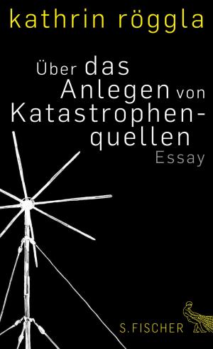 Cover of the book Über das Anlegen von Katastrophenquellen by Steven Pinker