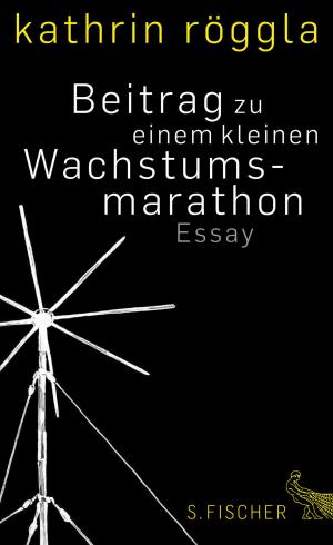 Cover of the book Beitrag zu einem kleinen Wachstumsmarathon by Michael Lentz