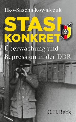 Cover of the book Stasi konkret by Heike Dahmen-Lösche