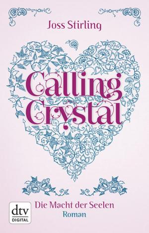 Book cover of Calling Crystal Die Macht der Seelen 3