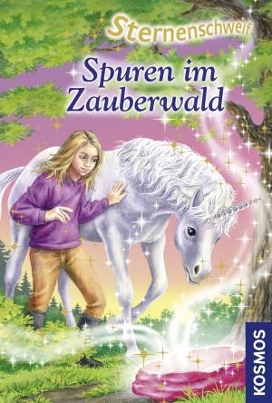 Cover of the book Sternenschweif, 11, Spuren im Zauberwald by Kirsten Vogel
