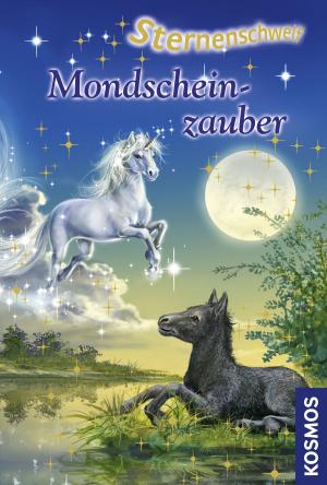 Cover of the book Sternenschweif, 12, Mondscheinzauber by Linda Chapman