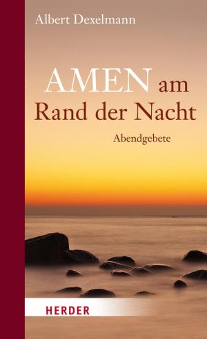 Cover of the book Amen am Rand der Nacht by Prof. Walter Kasper