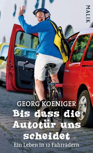 Cover of the book Bis dass die Autotür uns scheidet by Jamie McGuire
