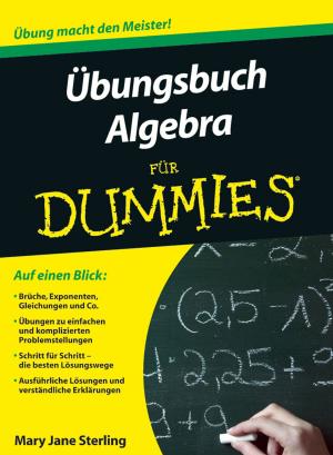 Cover of the book Ubungsbuch Algebra fur Dummies by Taryn Ozuna Allen, Barbara F. Tobolowsky