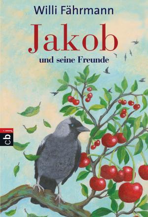 Cover of the book Jakob und seine Freunde by Michael Scott