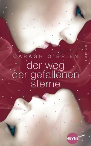 Book cover of Der Weg der gefallenen Sterne