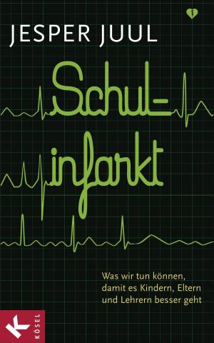 Cover of the book Schulinfarkt by Jürgen Müller-Hohagen