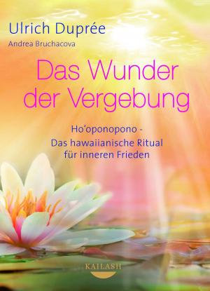 Cover of the book Das Wunder der Vergebung by Veit Lindau, Andrea Lindau