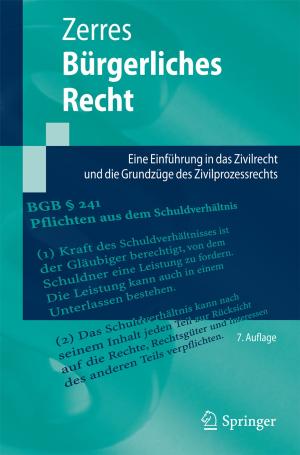 Cover of the book Bürgerliches Recht by Zhong Lin Wang