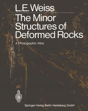 Cover of the book The Minor Structures of Deformed Rocks by Anne Röthel