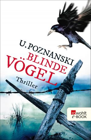 Cover of the book Blinde Vögel by Tex Rubinowitz