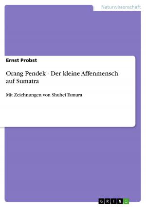 Cover of the book Orang Pendek - Der kleine Affenmensch auf Sumatra by Frank Dersch