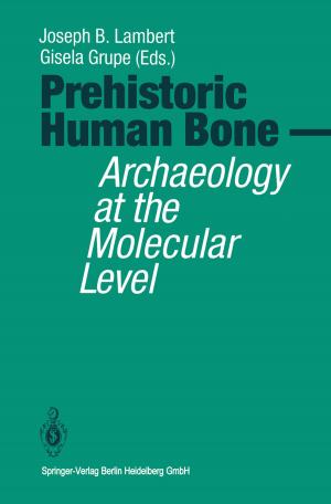 Cover of the book Prehistoric Human Bone by Paolo Frankl, M. Bartolomeo, H. Baumann, T. Beckmann, A.v. Däniken, F. Leone, U. Meier, R. Mirulla, R. Wolff, Frieder Rubik