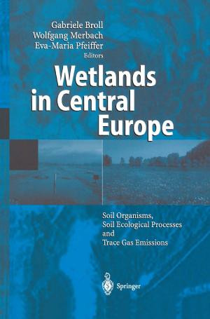 Cover of the book Wetlands in Central Europe by John Erpenbeck, Werner Sauter