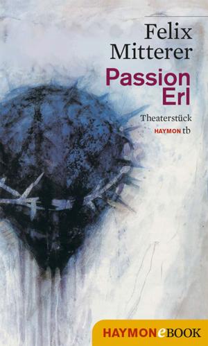Cover of the book Passion Erl by Klaus Merz