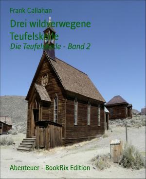 Book cover of Drei wildverwegene Teufelskerle