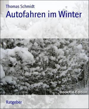 Cover of the book Autofahren im Winter by Uwe Erichsen