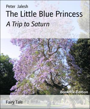 Cover of the book The Little Blue Princess by Silke Thümmler