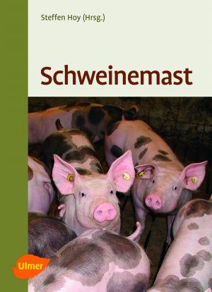 Cover of the book Schweinemast by Franz Schmaunz