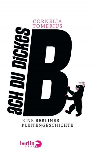 Cover of the book Ach du dickes B by Gerhard Falkner