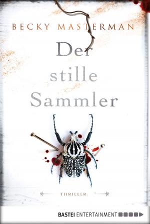 Cover of the book Der stille Sammler by Elizabeth Haran