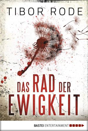 Book cover of Das Rad der Ewigkeit