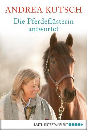 Cover of the book Die Pferdeflüsterin antwortet by Oliver Fröhlich