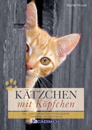 Book cover of Kätzchen mit Köpfchen