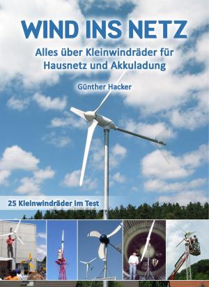 Cover of the book Wind ins Netz by Marc Schommertz