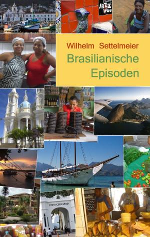 Cover of the book Brasilianische Episoden by Ortrun Schulz