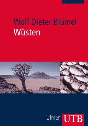 Cover of the book Wüsten by Joachim Merchel