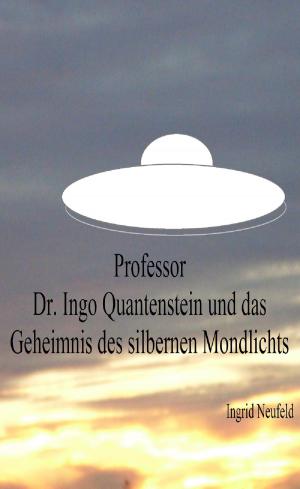 Book cover of Professor Dr. Ingo Quantenstein und das Geheimnis des silbernen Mondlichts
