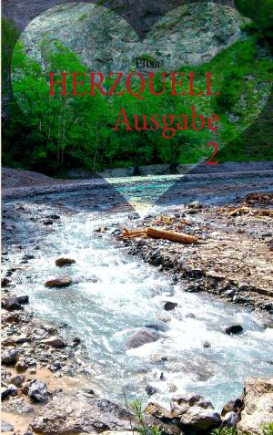 Cover of the book HERZQUELL by Sarah Debus, Andreas Vohns, Theo Overhagen