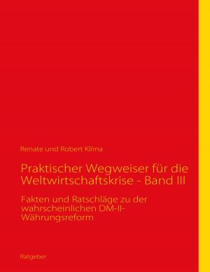 Cover of the book Praktischer Wegweiser für die Weltwirtschaftskrise - Band III by Günter Förg