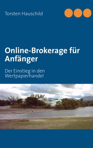 Cover of the book Online-Brokerage für Anfänger by Luke Eisenberg