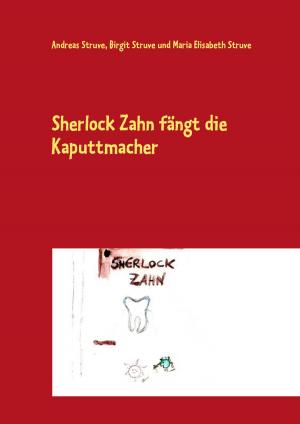 Cover of the book Sherlock Zahn fängt die Kaputtmacher by Norbert Zimmermann